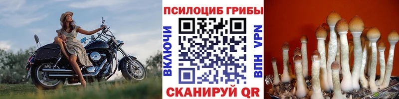 Галлюциногенные грибы MAGIC MUSHROOMS  даркнет сайт  Дыгулыбгей 